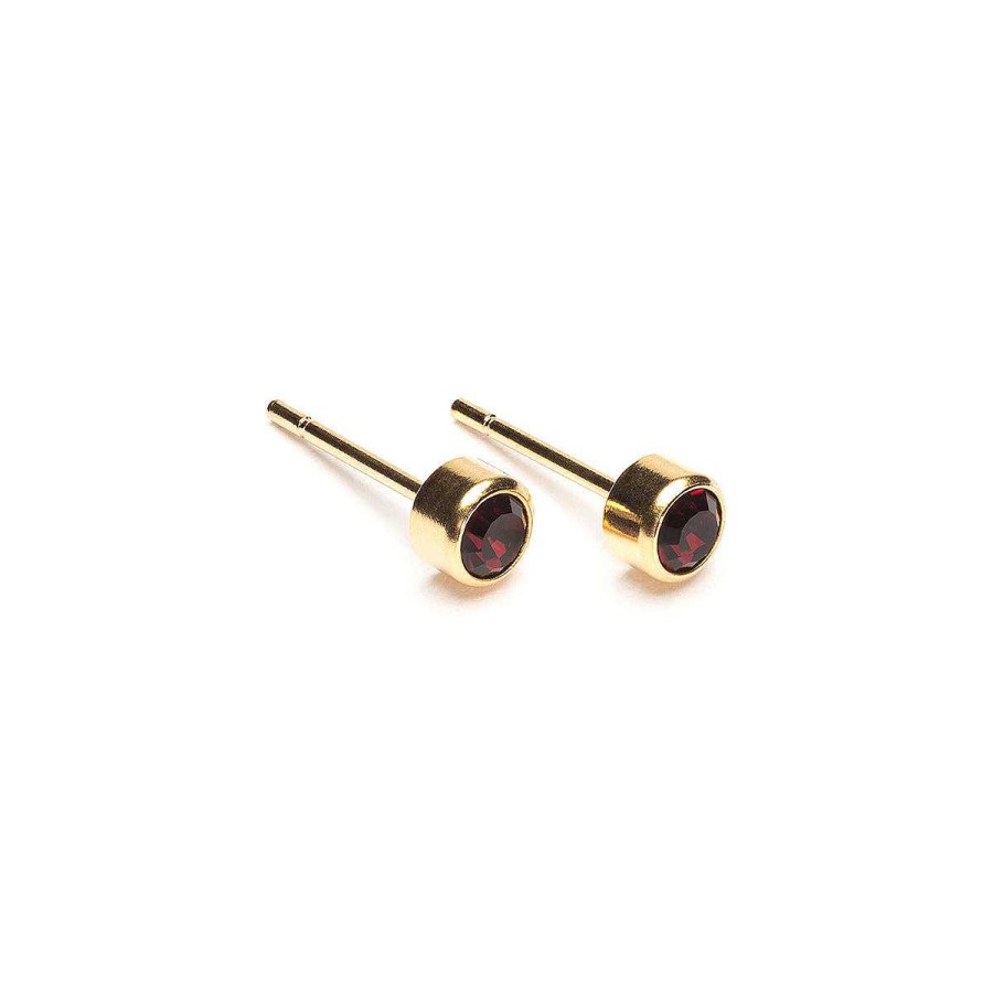 Earrings Simply Whispers | January Birthstone 14K Gold Plated Earrings