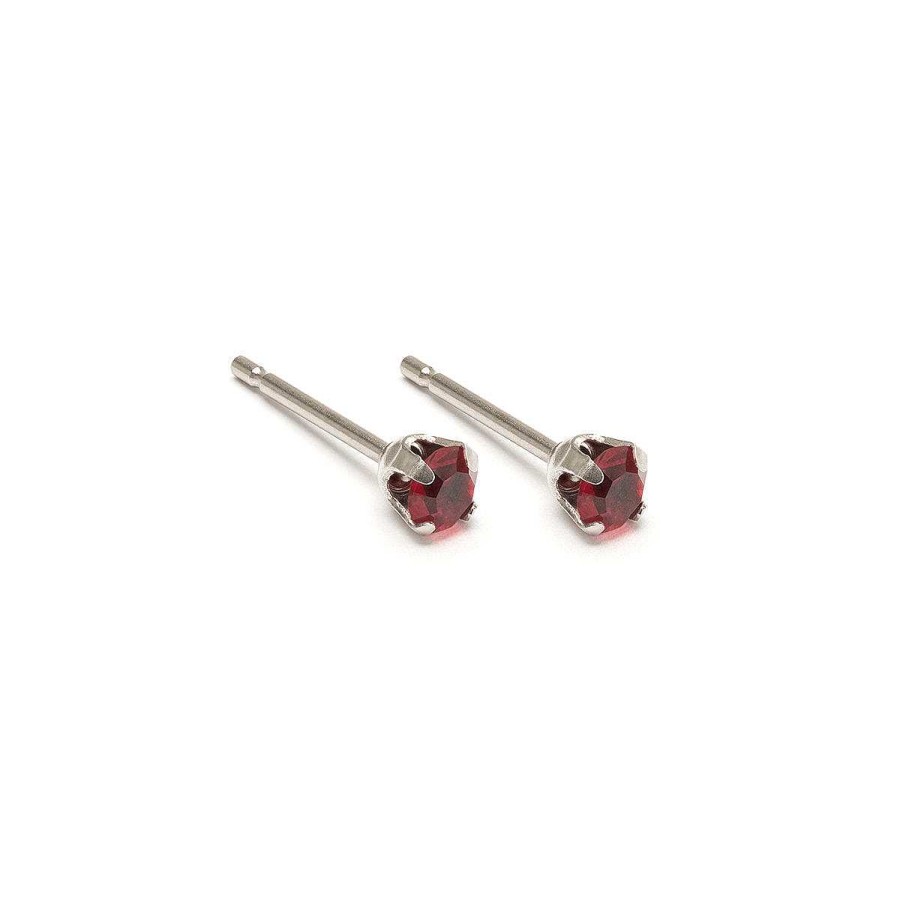 Earrings Simply Whispers | January Birthstone Stainless Steel Stud Earrings