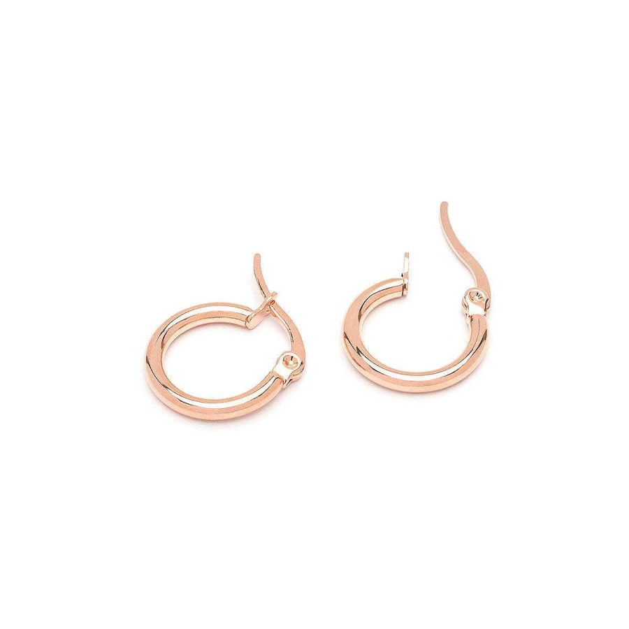 Earrings Simply Whispers | Rose Gold Round Hoop Earrings