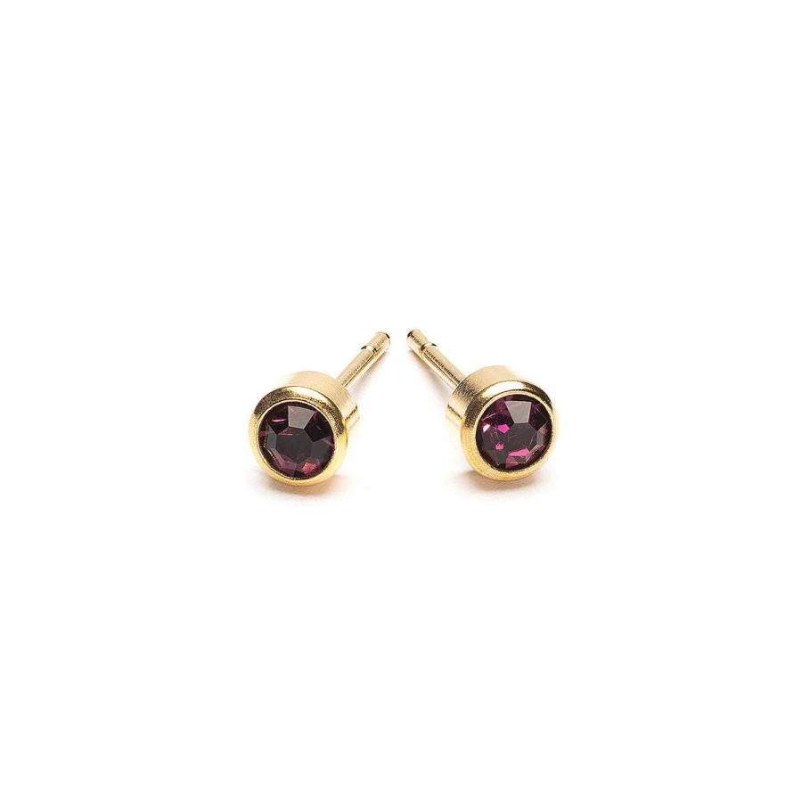 Earrings Simply Whispers | February Birthstone 14K Gold Plated Earrings