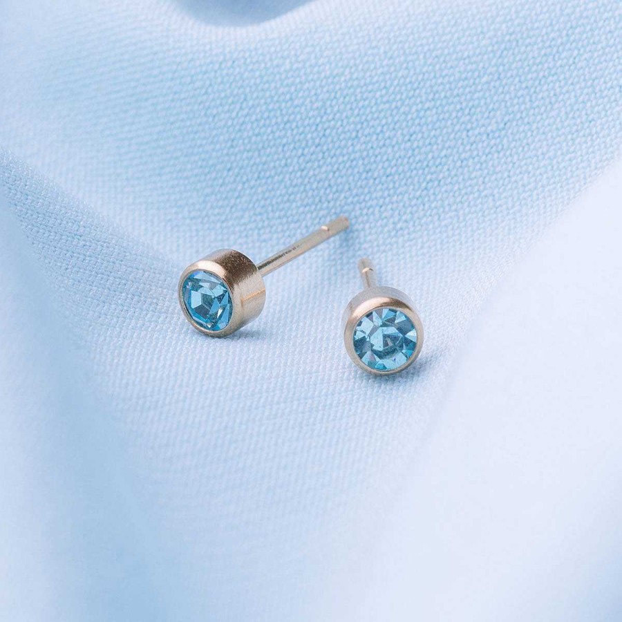 Earrings Simply Whispers | March Birthstone 14K Gold Plated Earrings