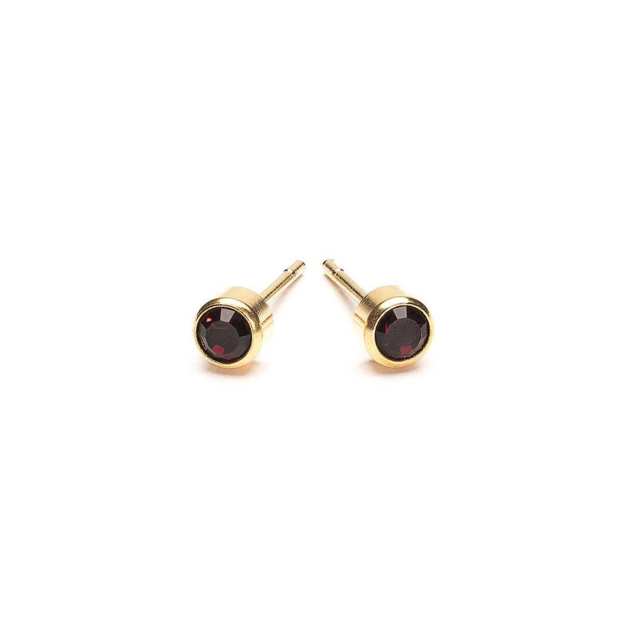 Earrings Simply Whispers | January Birthstone 14K Gold Plated Earrings